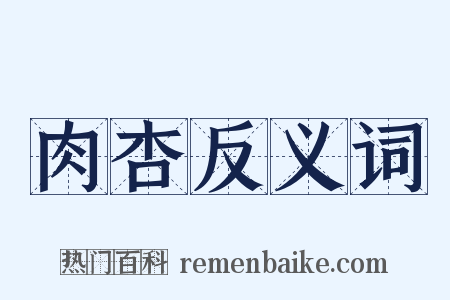 肉杏反义词是什么意思的图片